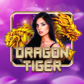Dragon Tiger pk7 login live casino
